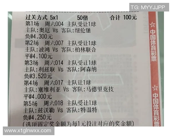 一个足球的价格大约在四百元左右的市场分析与购买建议